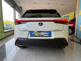 Lexus UX BUSINESS  2.0 HYBRID  184cv auto