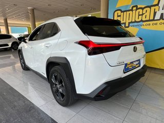 Lexus UX BUSINESS  2.0 HYBRID  184cv auto