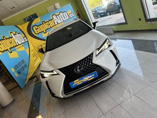 Lexus UX BUSINESS  2.0 HYBRID  184cv auto