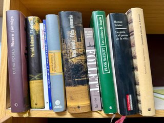 Lote de libros en español – novela, terror, mister