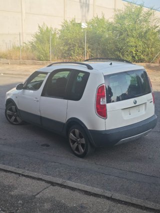 Skoda Roomster scout 2012 PEGATINA C