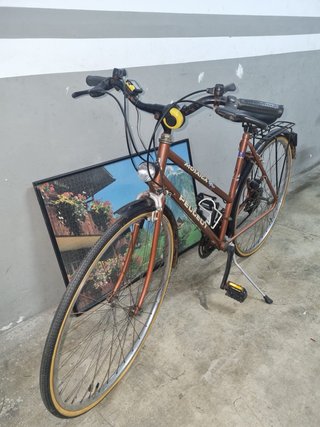 Bicicleta Clásica