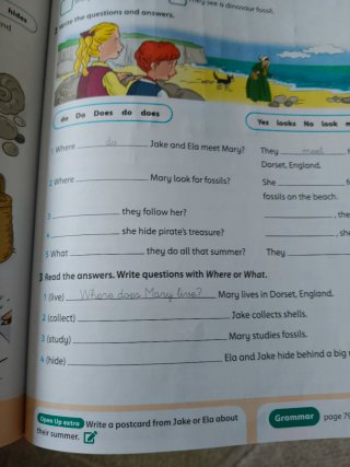 Open Up 4 Course Book (Spain)