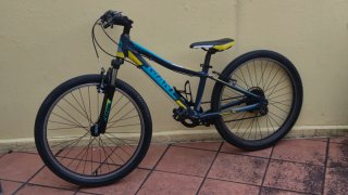 Bicicleta Giant XTC JR 24