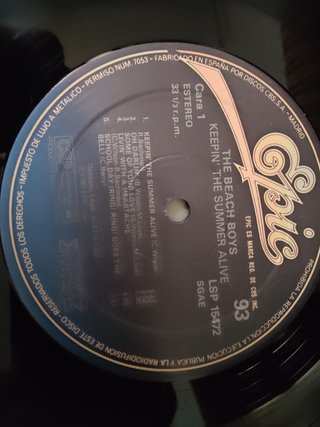Vinilo The Beach Boys - Historia de la Música Rock