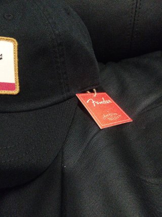 Gorra Fender California Oso Negra American Needle