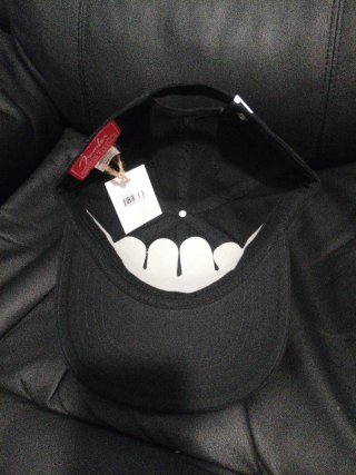 Gorra Fender California Oso Negra American Needle