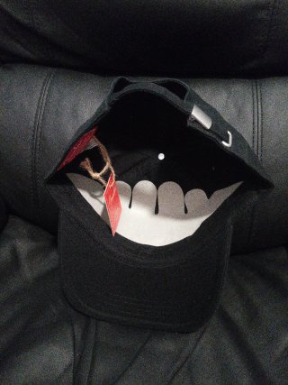 Gorra Fender California Oso Negra American Needle