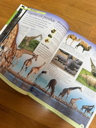 Enciclopedia de los animales