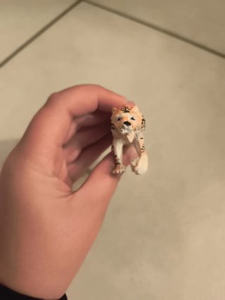 Gioco tigre