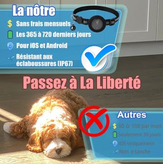 NUEVO Localizador GPS Mascotas  Resistente Agua