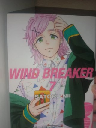Wind Breaker