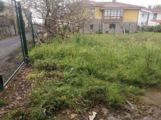 Se ofrece jardinero para mantenimiento y limpieza