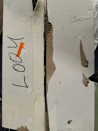 Carrello di addestramento per cani