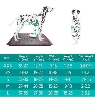 Carrello di addestramento per cani