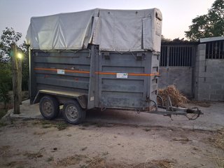 Caja caballo 1.5 plazas, matrícula blanca