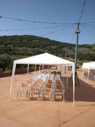 Carpa Plegable Blanca para Eventos