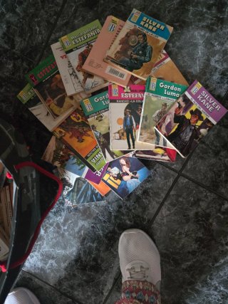 Novelas oeste