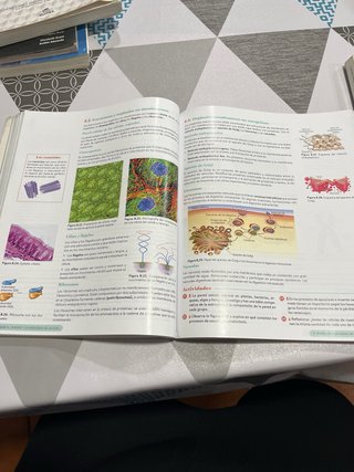 Biología, Geología y CC. Ambientales 1º Bachill...