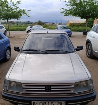 Peugeot 309 1989