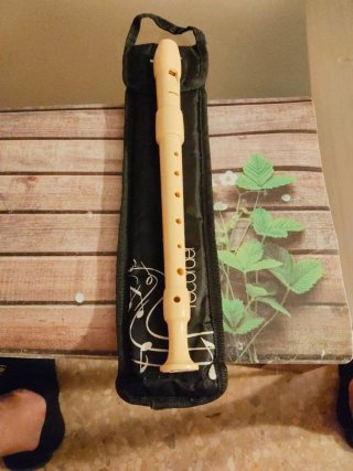 Flauta Hohner con funda