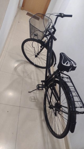 Bicicleta 29 " Grande de Paseo.