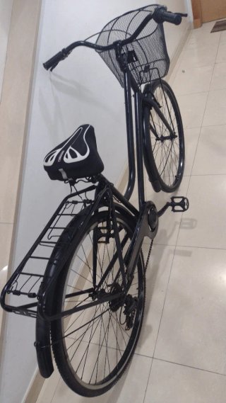 Bicicleta 29 " Grande de Paseo.