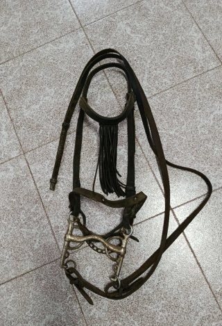 Cabezada de caballo
