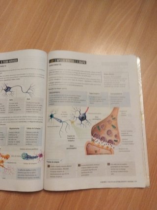 Bioloxía e Xeoloxía, 3 Secundaria, Fanfest