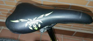 Bicicleta/ bici BMX verde