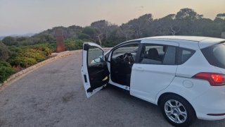 Ford B-MAX 2013