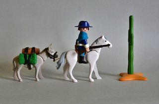 Playmobil Capitán Nordista  De La Unión Con Burro.