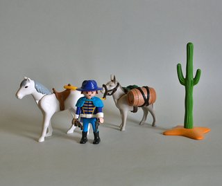 Playmobil Capitán Nordista  De La Unión Con Burro.