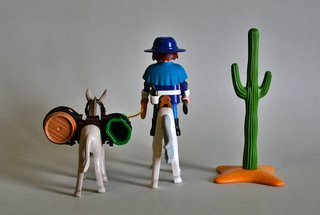 Playmobil Capitán Nordista  De La Unión Con Burro.