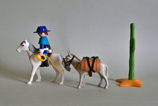Playmobil Capitán Nordista  De La Unión Con Burro.