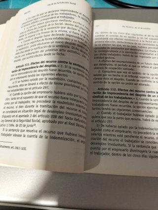 Ley de la Jurisdicción social LO 1/25