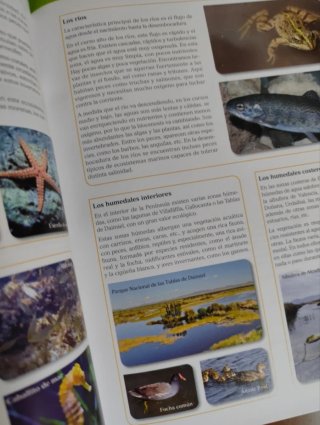 Biología y Geología 1 ESO SANTILLANA