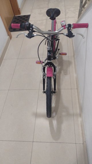 Bicicleta Infantil 20" Rosa per Ragazze