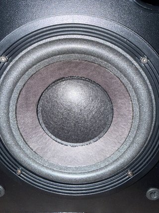 Bose Interaudio 3000XL Altavoces
