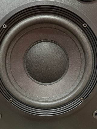Bose Interaudio 3000XL Altavoces