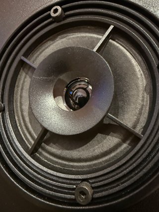 Bose Interaudio 3000XL Altavoces
