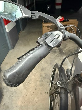Bicicleta eléctrica (sin batería)