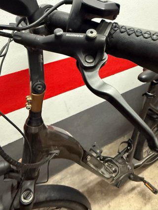 Bicicleta eléctrica (sin batería)