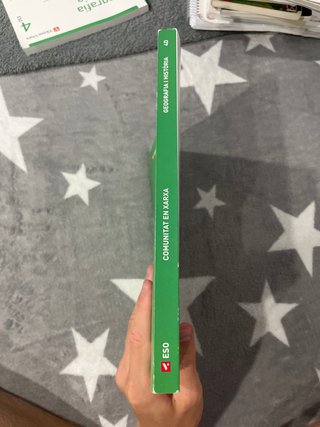 Geografia i Història, 4D ESO, Comunitat en xarxa