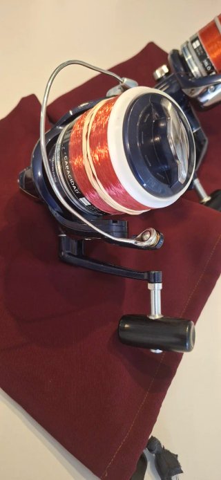 Shimano kisu bulls daiwa