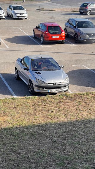 Peugeot 206 2001