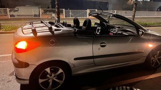 Peugeot 206 2001