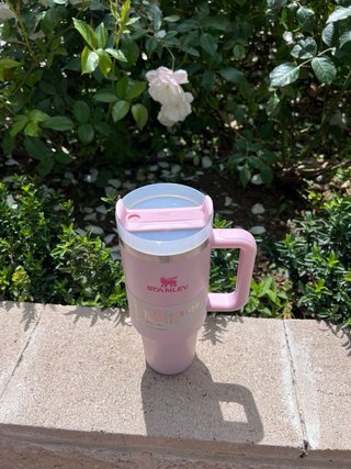 Vaso Stanley Flowstate H2.0 Rosa