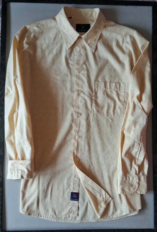 Camicia uomo classica sportiva