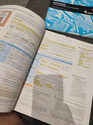 Lengua castellana y literatura